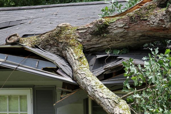 Cost of Storm Remediation in Tulsa