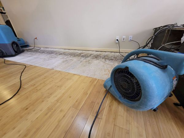 Cost of Water Damage Mitigation in Tulsa
