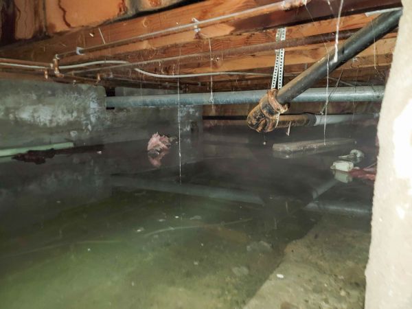 Cost of Water Mitigation Service in Tulsa