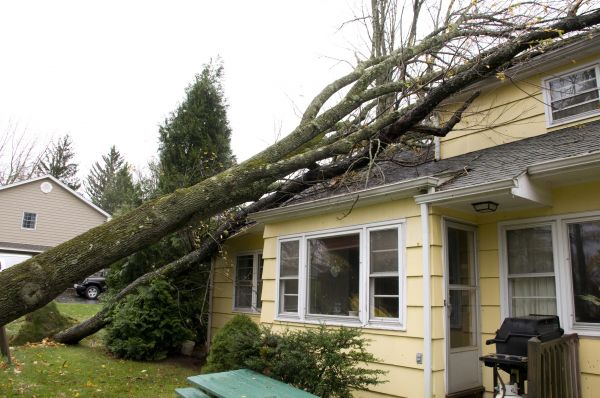 Hurricane Damage Repair in Tulsa